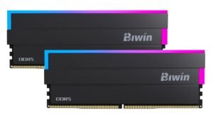 Dos módulos de memoria DDR5 Biwin Black Opal DW100 con disipador negro e iluminación RGB